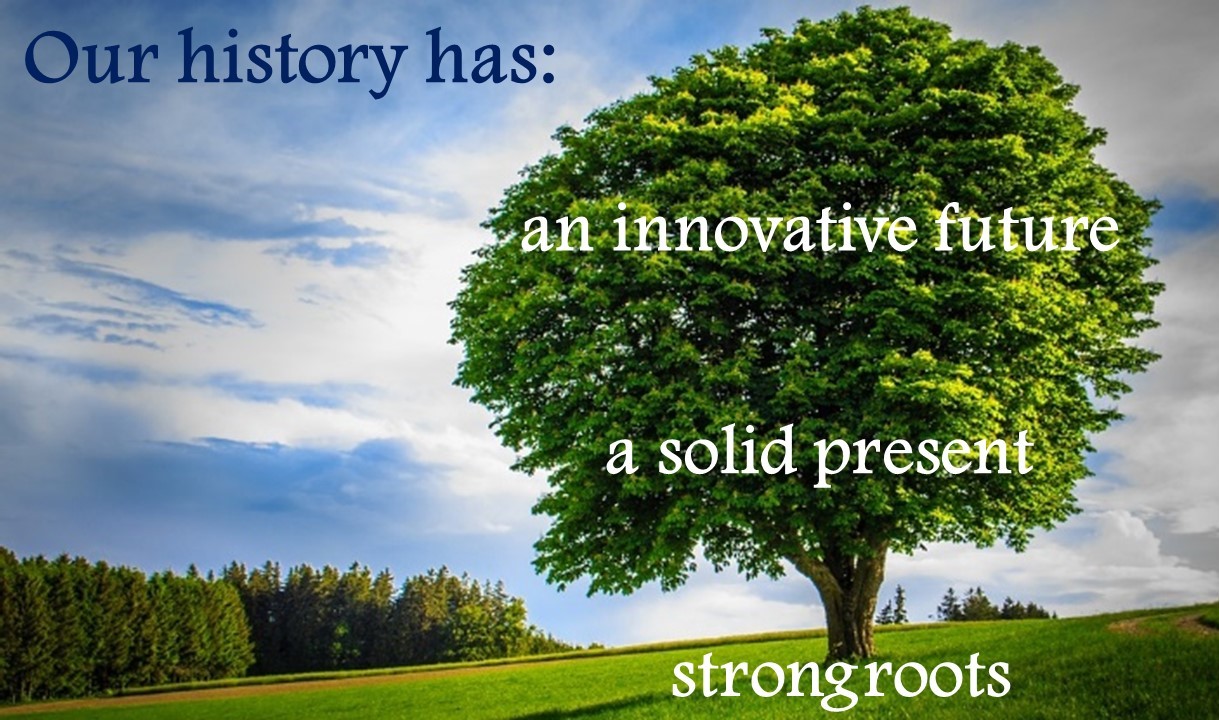 Company Profile_roots
