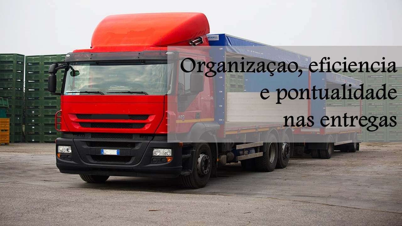 Organizaçao, eficiencia e pontualidade nas entregas